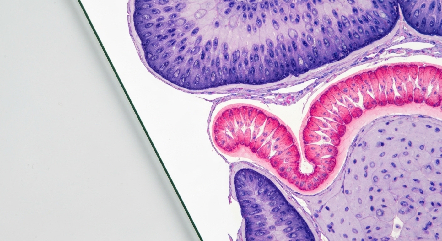 Genetic Diagnosis and Multisuture Fusion Predict Chiari Risk in Lambdoid Synostosis