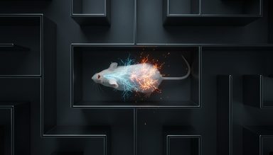 Adolescent Nicotine Rewires Brain Circuitry to Boost Opioid Reward in Mice