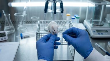 Endothelial Nitric Oxide and Nitrosative Stress Drive Potassium Channel Migraine Pain in Mice