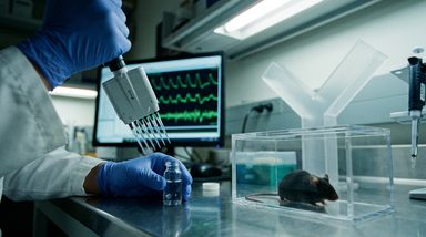 Galectin-3 Inhibition Prevents Excitatory Synapse Loss in Murine Neuroinflammation Models