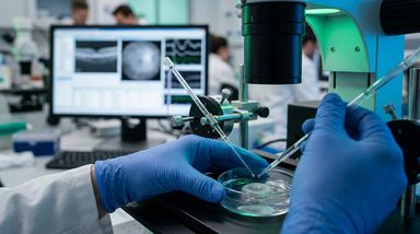 Hierarchical Retinal Circuits Enhance Low-Contrast Detection in Mice and Humans
